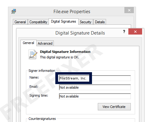 Screenshot of the FileStream, Inc. certificate